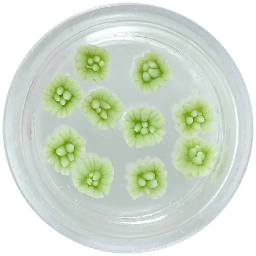 Akryl virágocskák – világoszöld