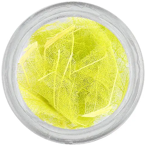 Világoszöld szárított levelek