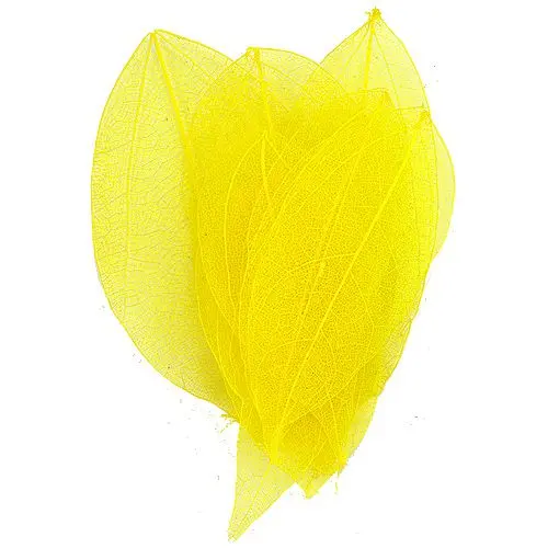 Díszítő szárított levelek – sárga
