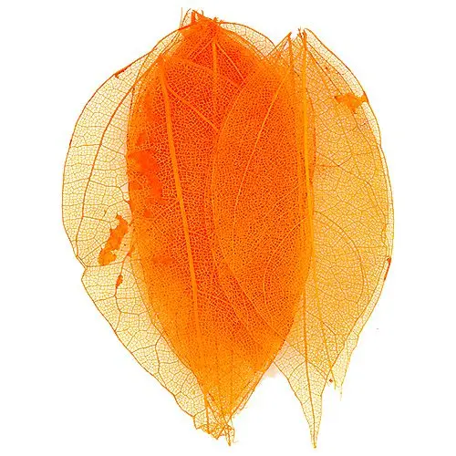 Narancssárga szárított levelek