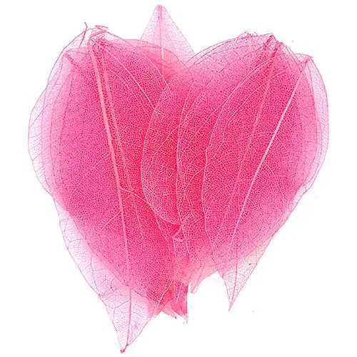 Díszítő szárított levelek – világos rózsaszín